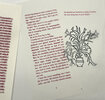 Another image of Imaginary Letters. by HALF PINT PRESS. BUTTS, Mary.